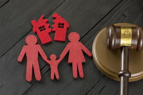 mediation and family dispute resolution